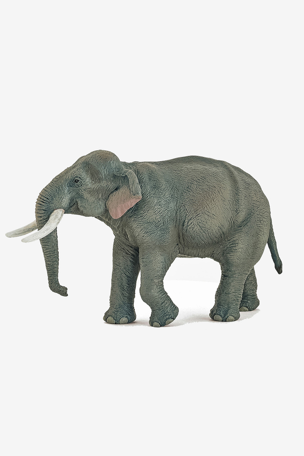 Papo, Figurina elefant asiatic, Gri, +3 ani