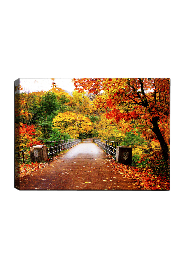 Tablo Center, Tablou canvas Autumn Bridge, Multicolor, 50x70 cm